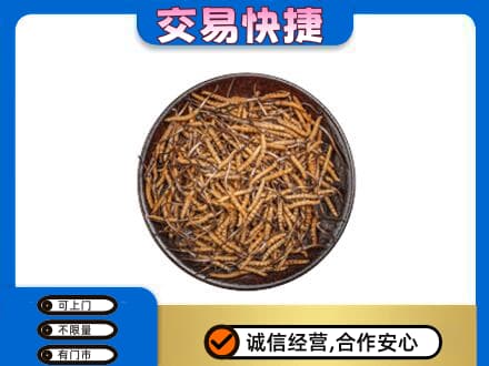 芜湖礼品回收虫草.jpg